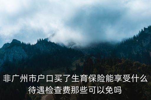 非廣州市戶口買了生育保險能享受什么待遇檢查費那些可以免嗎