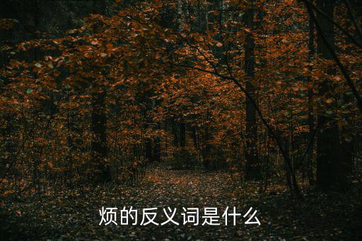 煩的反義詞是什么