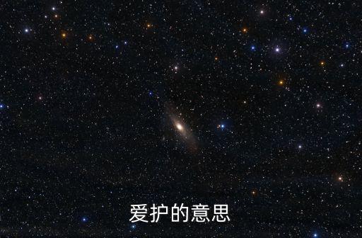 愛護的近義詞,保護的近義詞:愛護、庇護、保障、護衛