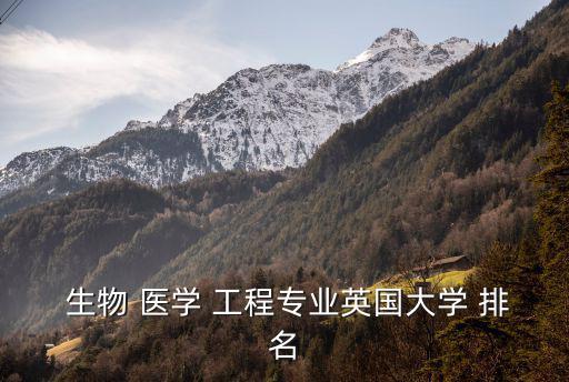  生物 醫學 工程專業英國大學 排名