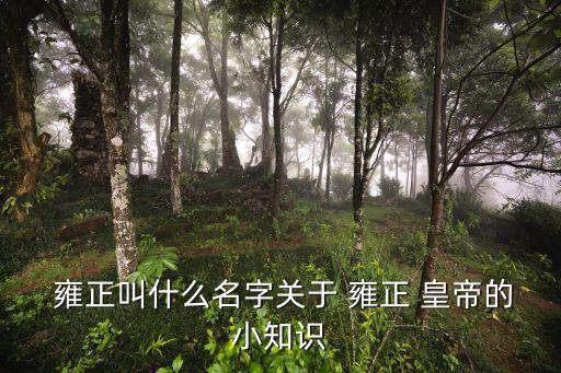  雍正叫什么名字關于 雍正 皇帝的小知識