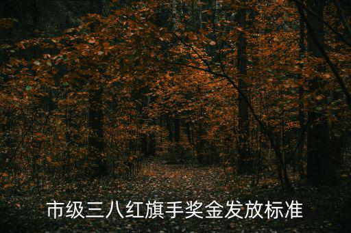 上海市三八紅旗手 比例，市級三八紅旗手獎金發放標準