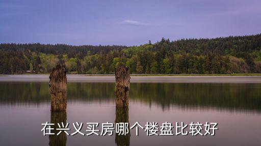 在興義買(mǎi)房哪個(gè)樓盤(pán)比較好