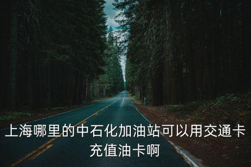 中國石化上海市充值網(wǎng)點(diǎn)，中國石化加油卡上海閔行有哪些充值點(diǎn)