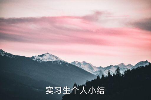 實習(xí)生個人小結(jié)