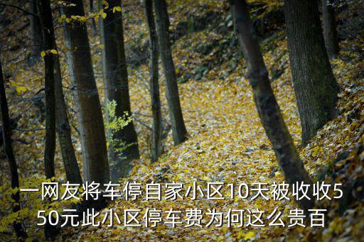 一網友將車停自家小區10天被收收550元此小區停車費為何這么貴百