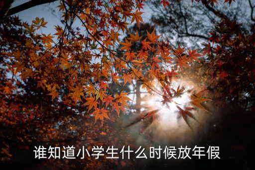 誰知道小學(xué)生什么時(shí)候放年假