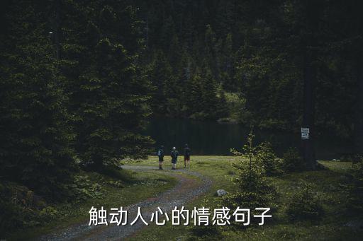 打動人心的情感語錄,情感句子（三）:感動人心的情感
