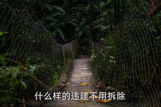 什么樣的違建不用拆除