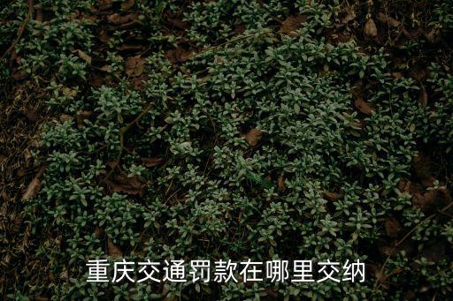 重慶交通罰款在哪里交納