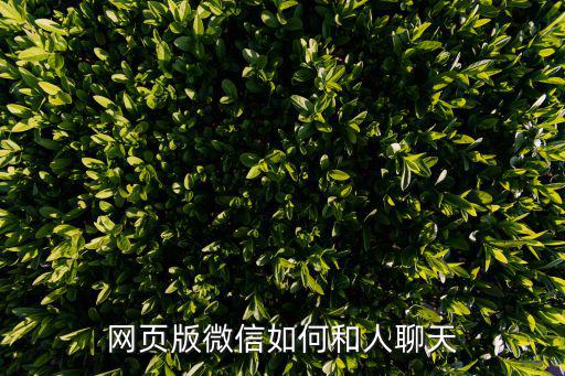 網頁版微信如何和人聊天