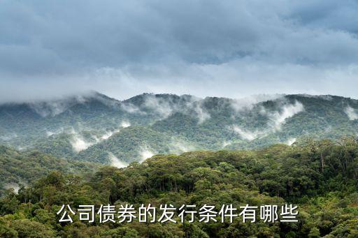 公司債券的發(fā)行條件有哪些