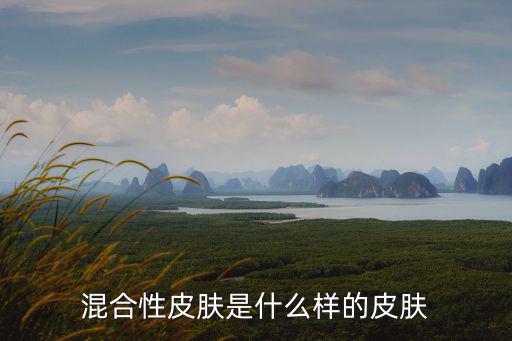 混合性皮膚,混合油性皮膚看這里!