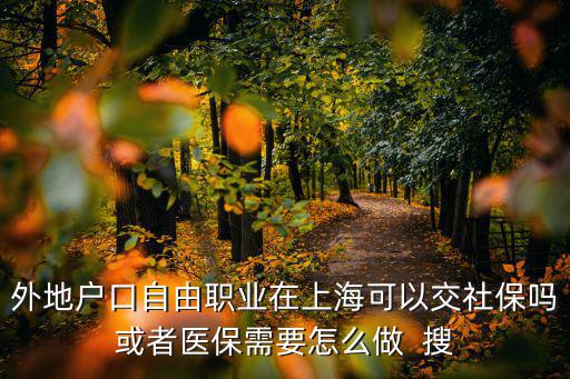 外地戶口自由職業(yè)在上海可以交社保嗎或者醫(yī)保需要怎么做  搜