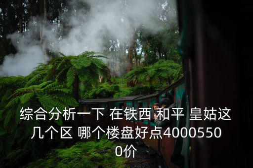綜合分析一下 在鐵西 和平 皇姑這幾個區 哪個樓盤好點40005500價