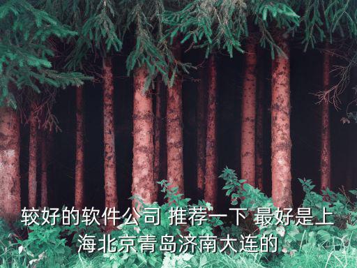 較好的軟件公司 推薦一下 最好是上海北京青島濟(jì)南大連的