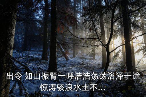 出令 如山振臂一呼浩浩蕩蕩洛澤于途驚濤駭浪水土不...