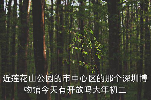 近蓮花山公園的市中心區的那個深圳博物館今天有開放嗎大年初二