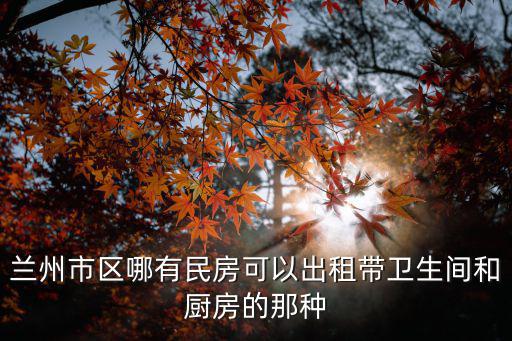 蘭州市區(qū)哪有民房可以出租帶衛(wèi)生間和廚房的那種