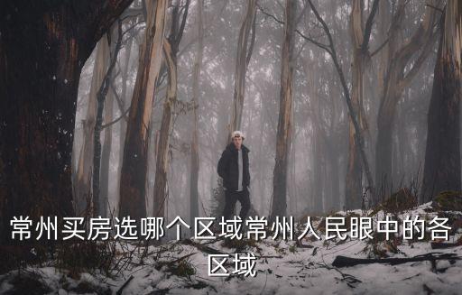 常州買房選哪個區(qū)域常州人民眼中的各區(qū)域