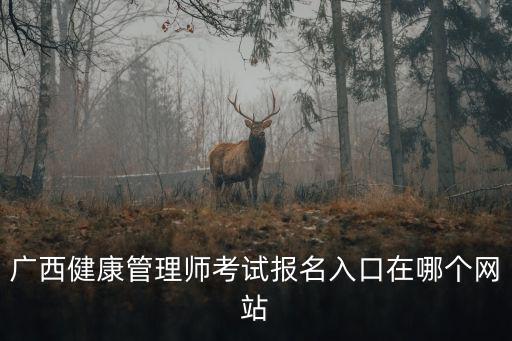 廣西健康管理師考試報名入口在哪個網站