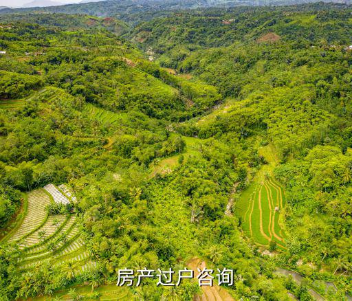 上海市寶山區(qū)共康路400弄二手房，房產(chǎn)過戶咨詢