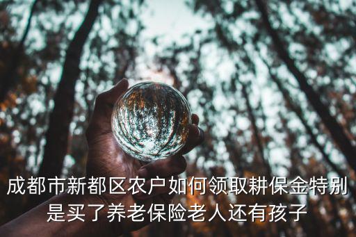 成都市新都區(qū)農(nóng)戶如何領取耕保金特別是買了養(yǎng)老保險老人還有孩子