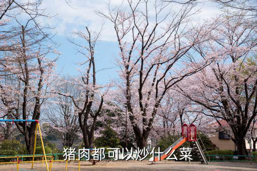 豬肉都可以炒什么菜