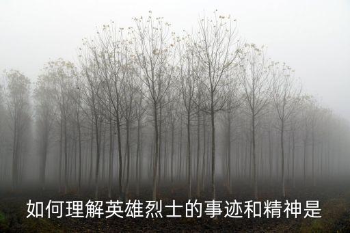 如何理解英雄烈士的事跡和精神是