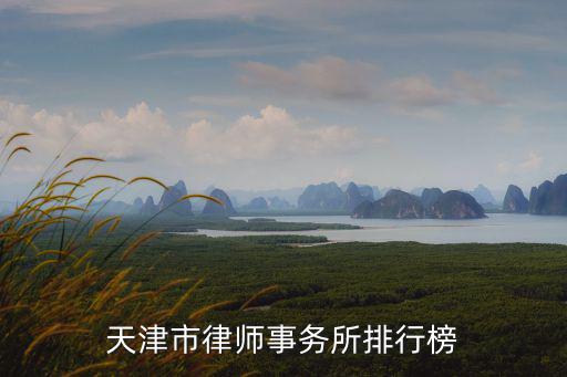 天津市律師事務所排行榜