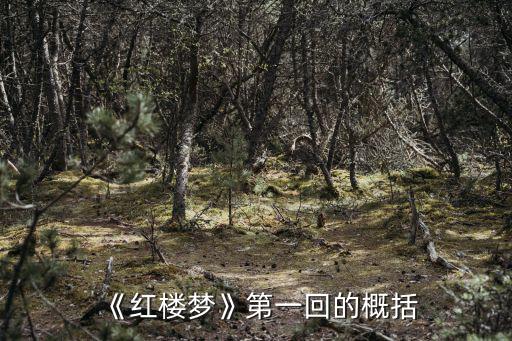 紅樓夢章節(jié)概括,第一回至五回初步了解《紅樓夢》緣起
