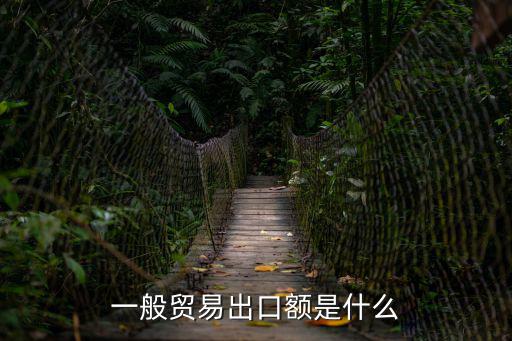 一般貿易出口額是什么