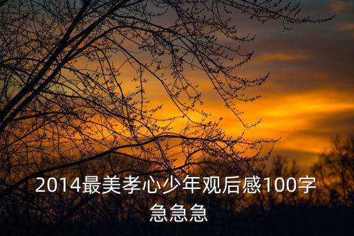最美孝心少年觀后感，2014最美孝心少年觀后感100字 急急急