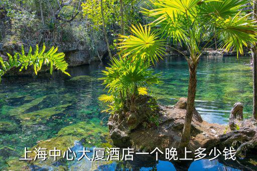 上海中心大廈酒店一個(gè)晚上多少錢