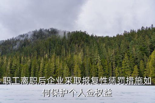 職工離職后企業(yè)采取報復性懲罰措施如何保護個人僉權益