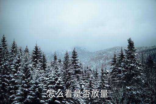 股票放量怎么看,怎么看是否放量?可以看委比差和量價關系