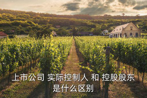 天津市右司酒館地址，邊緣游戲里凱旋之城的右祭司去哪了怎么只有大祭司和左祭司