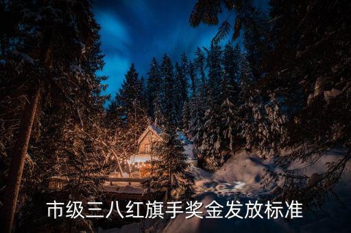 市級(jí)三八紅旗手獎(jiǎng)金發(fā)放標(biāo)準(zhǔn)