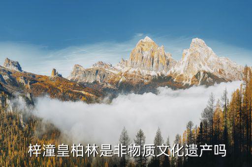  梓潼皇柏林是非物質文化遺產嗎