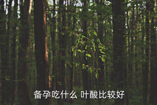  備孕吃什么 葉酸比較好