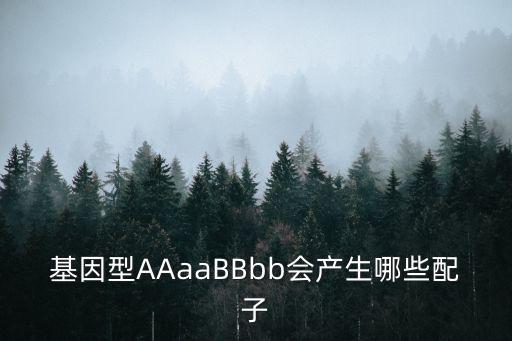 55bbbb,基因型aaaabbbb會產生什么配子?
