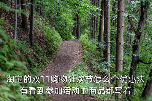 淘寶的雙11購物狂歡節怎么個優惠法有看到參加活動的商品都寫著