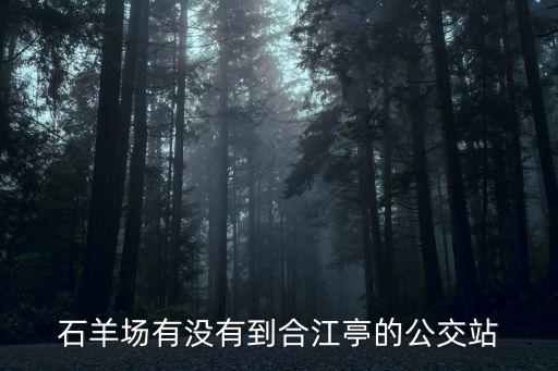成都市合江亭一站式站點，成都合江亭在那里