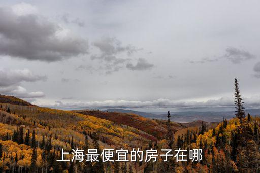 上海市哪個區房價最低，上海哪個區房子比較便宜