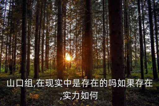 日本山口組,日本山口組是怎么發展起來的?