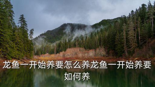 龍魚一開始養要怎么養龍魚一開始養要如何養