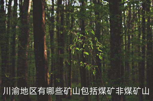 川渝地區有哪些礦山包括煤礦非煤礦山