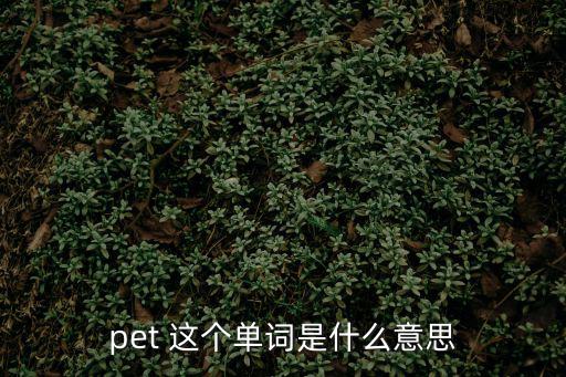 pet 這個單詞是什么意思