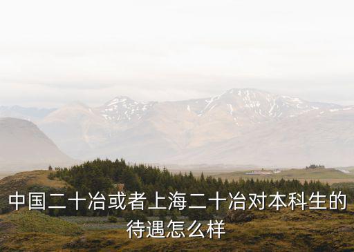 中國二十冶或者上海二十冶對本科生的待遇怎么樣
