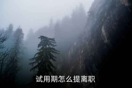 試用期怎么提離職
